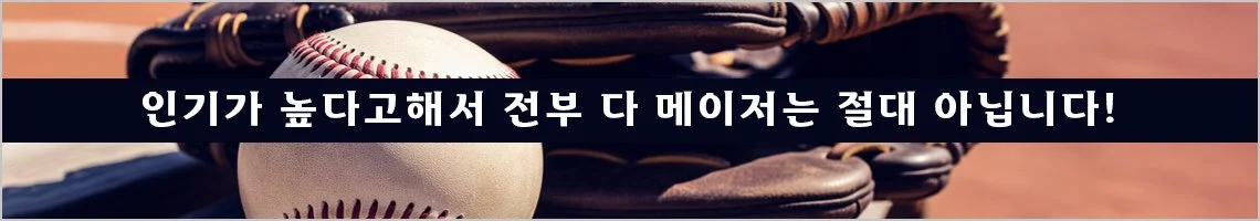 인기가 높다고해서 전부 다 메이저는 절대 아닙니다!