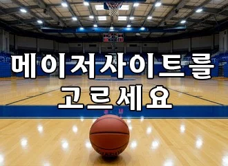 메이저사이트를 고르세요