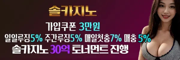 무제재시스템으로 승률높은 토토사이트 솔카지노