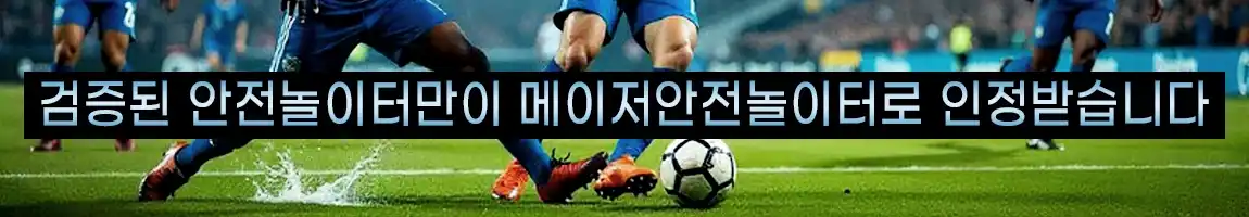 먹튀폴리스는 검증된 메이저안전놀이터만 제공합니다
