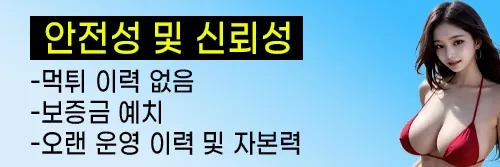 먹튀이력이 없는 안전 메이저사이트