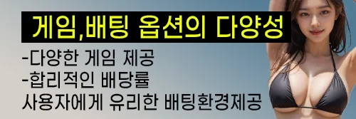 사용자에게 유리한 배팅환경을 제공합니다