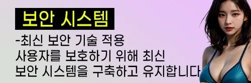 사용자 보호를 위한 보안시스템을 구축합니다