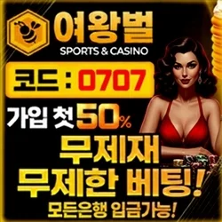 최고의 안전메이저사이트 여왕벌입니다
